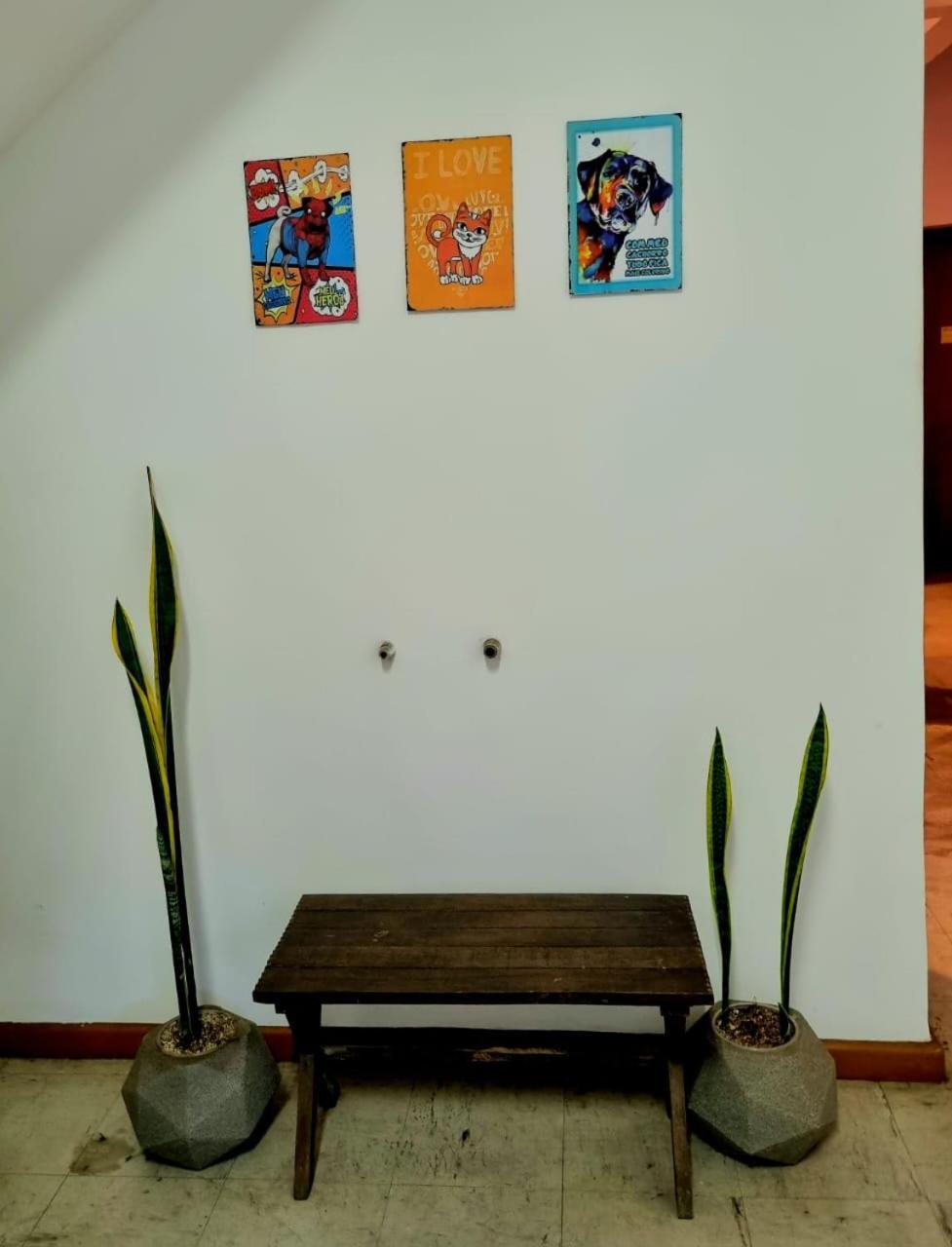 Cool Living Hostel - Praca Da Liberdade Belo Horizonte Eksteriør bilde
